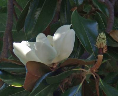 Прикрепленное изображение: 006.jpg